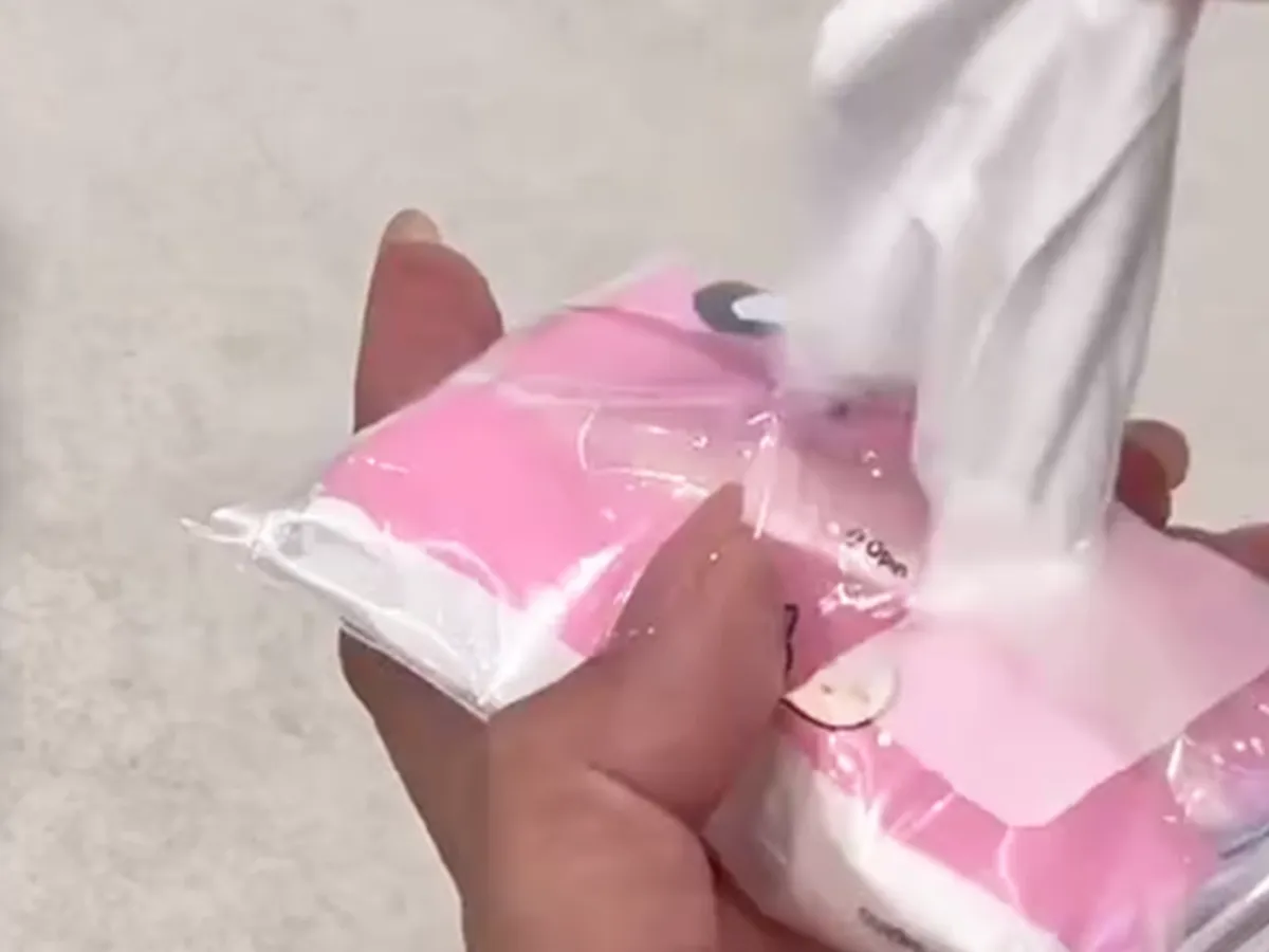 ジッパーつき保存袋に入れたポケットティッシュ