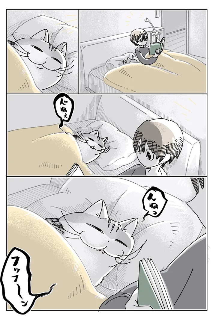 愛猫との日常を描いた漫画の写真