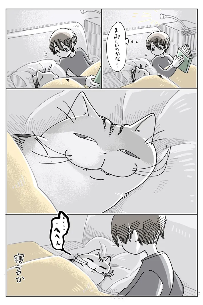 愛猫との日常を描いた漫画の写真