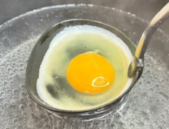 卵の写真（撮影：キジカク）