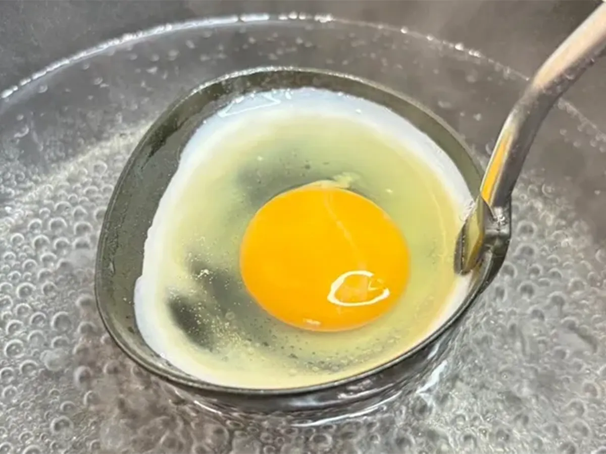 卵の写真(撮影:キジカク)