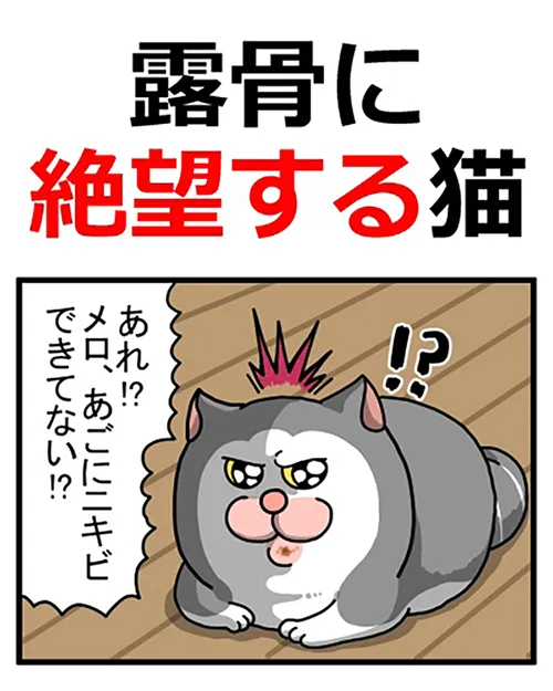 まめきちまめこさんの漫画の画像