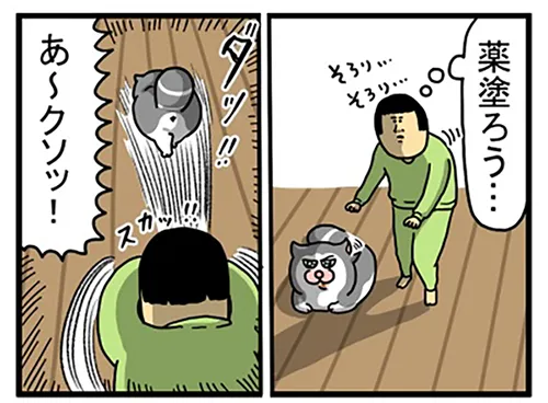 まめきちまめこさんの漫画の画像