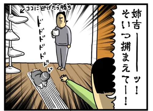 まめきちまめこさんの漫画の画像