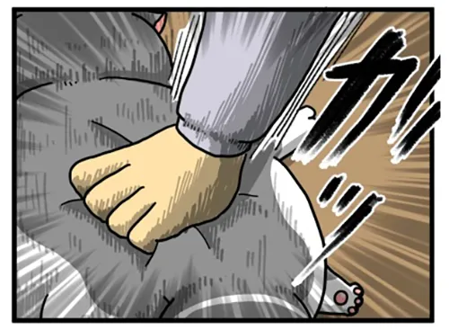 まめきちまめこさんの漫画の画像