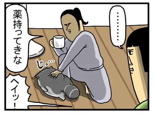 まめきちまめこさんの漫画の画像