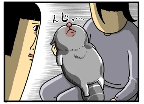 まめきちまめこさんの漫画の画像