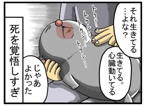 まめきちまめこさんの漫画の画像