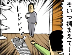 まめきちまめこさんの漫画の画像