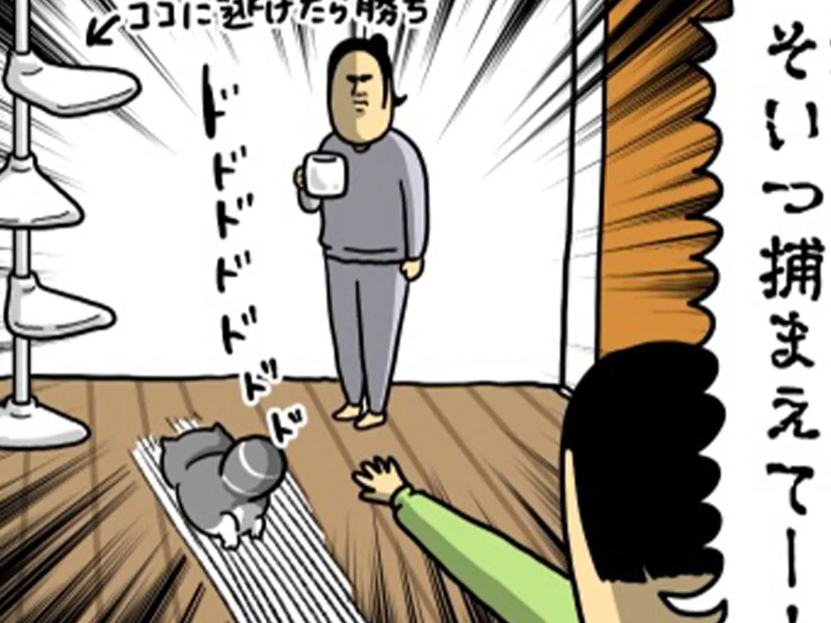 まめきちまめこさんの漫画の画像