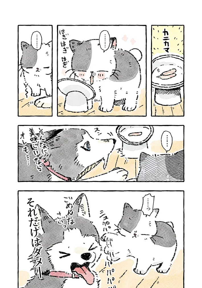 猫とシベリアンハスキーの暮らしを描いた漫画の写真