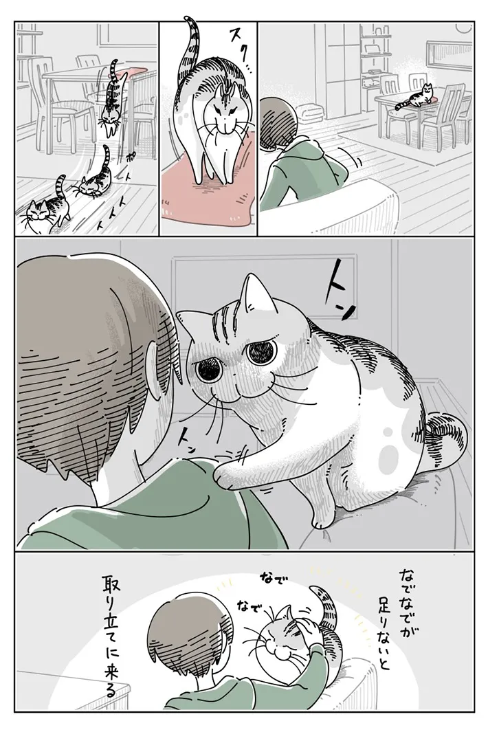 猫との日常を描いた漫画の写真