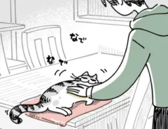 猫との日常を描いた漫画の写真