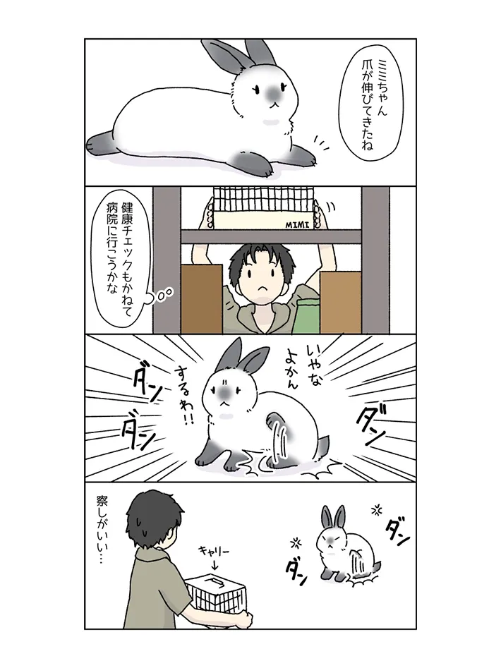 ウサギと飼い主の日常を描いた漫画の写真