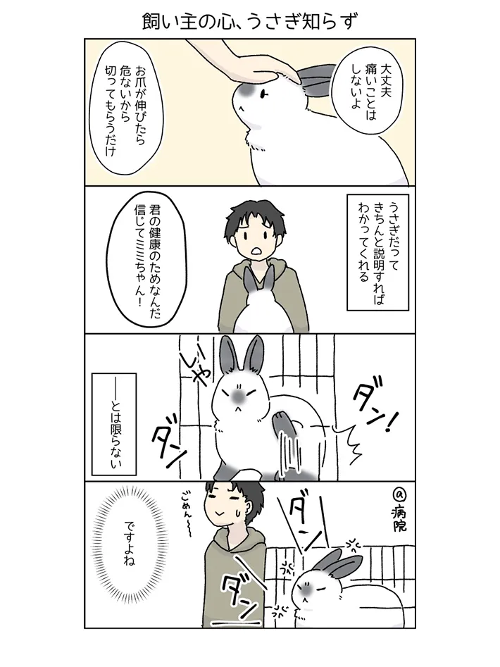 ウサギと飼い主の日常を描いた漫画の写真