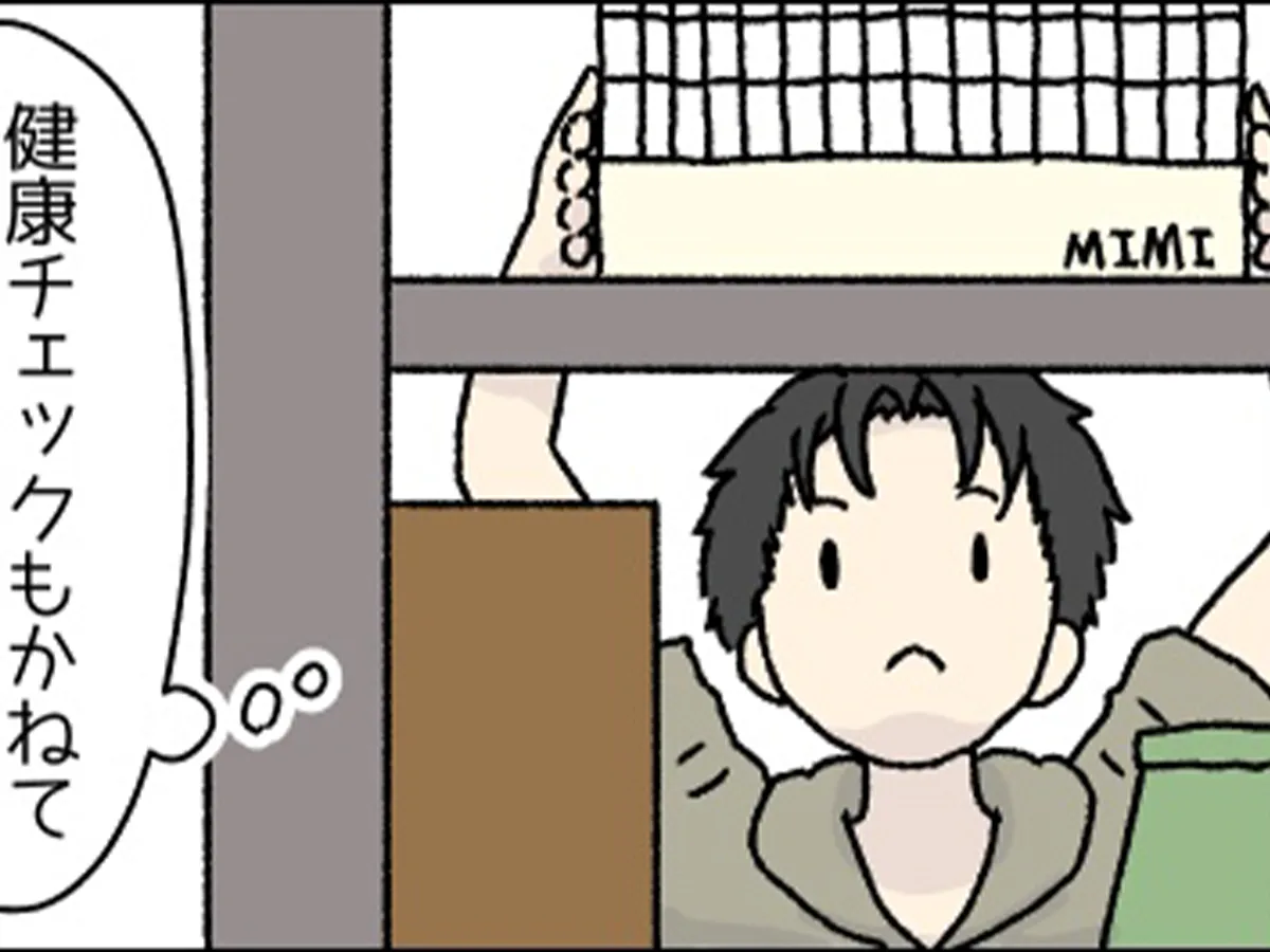 ウサギと飼い主の日常を描いた漫画の写真