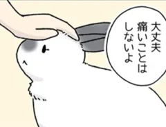 ウサギと飼い主の日常を描いた漫画の写真