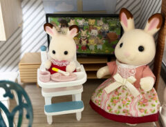 60代母親「新しい趣味ができた」　ハートを射抜かれた『シルバニアファミリー』に「どんどん沼る」