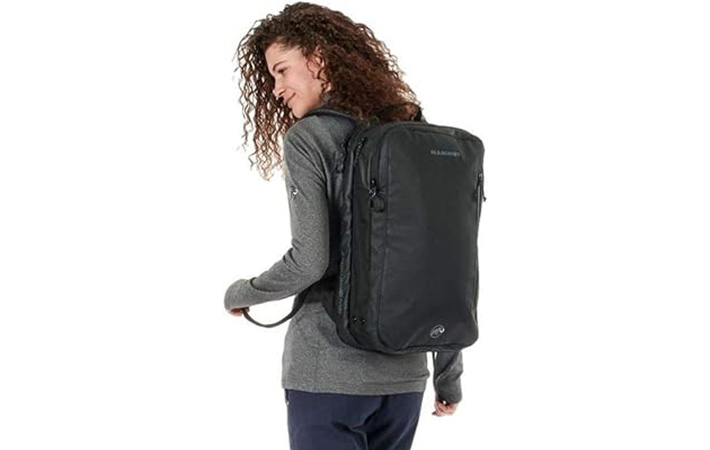 マムートの画像