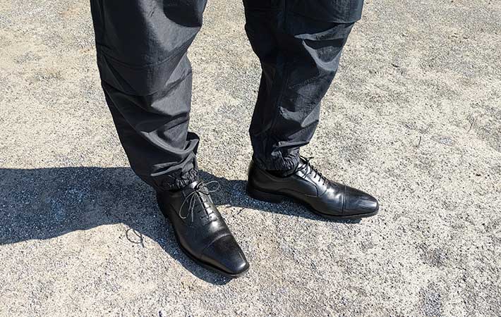 テクシーリュクスの画像