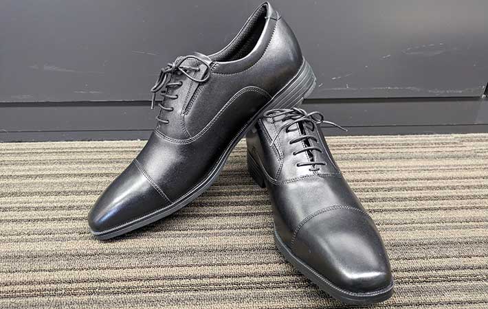 テクシーリュクスの画像