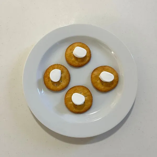 クラッカーの上にマシュマロをのせた写真（撮影：grape編集部）