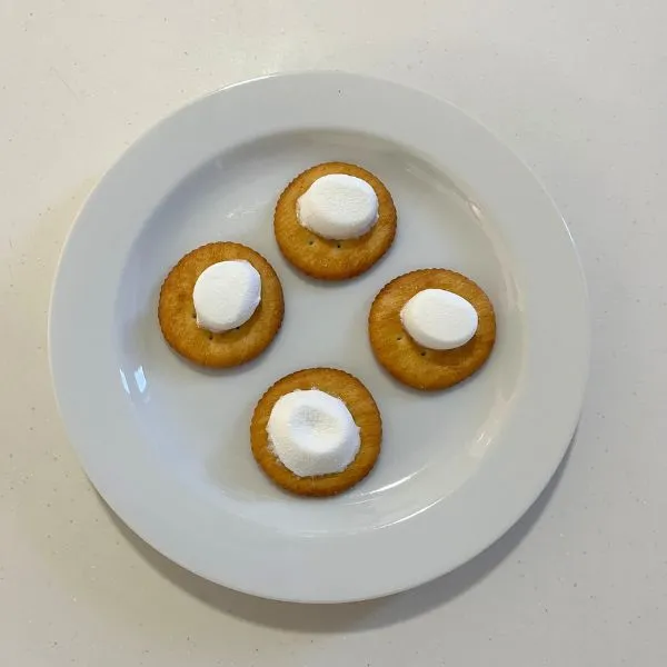 マシュマロを載せたクラッカーを電子レンジで温めた写真（撮影：grape編集部）