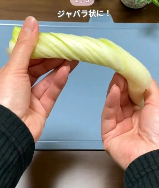 ジャバラ状のネギ