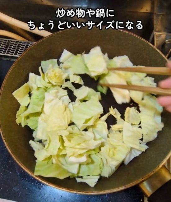 ざく切りにしたキャベツ