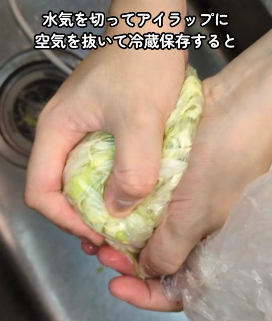 アイラップに入ったキャベツ