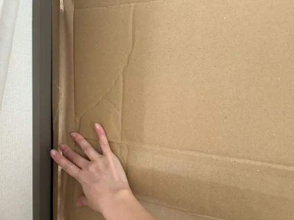 ダンボールに触れている様子