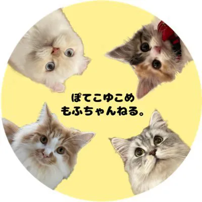 ぽてこゆこめ。の写真
