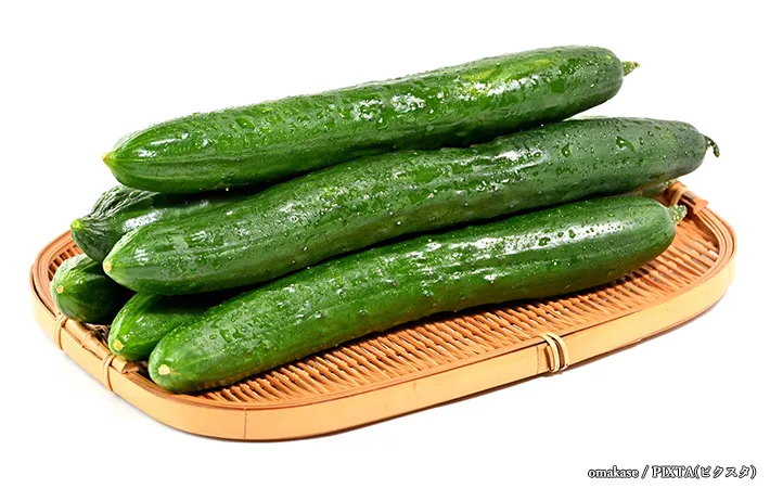 キュウリ