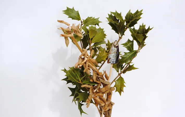 飾った後のイワシの頭、どう処分する？