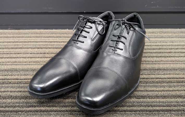 テクシーリュクスの画像