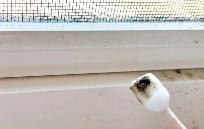 『セリア すきま掃除用綿棒』の使用写真（撮影：キジカク）