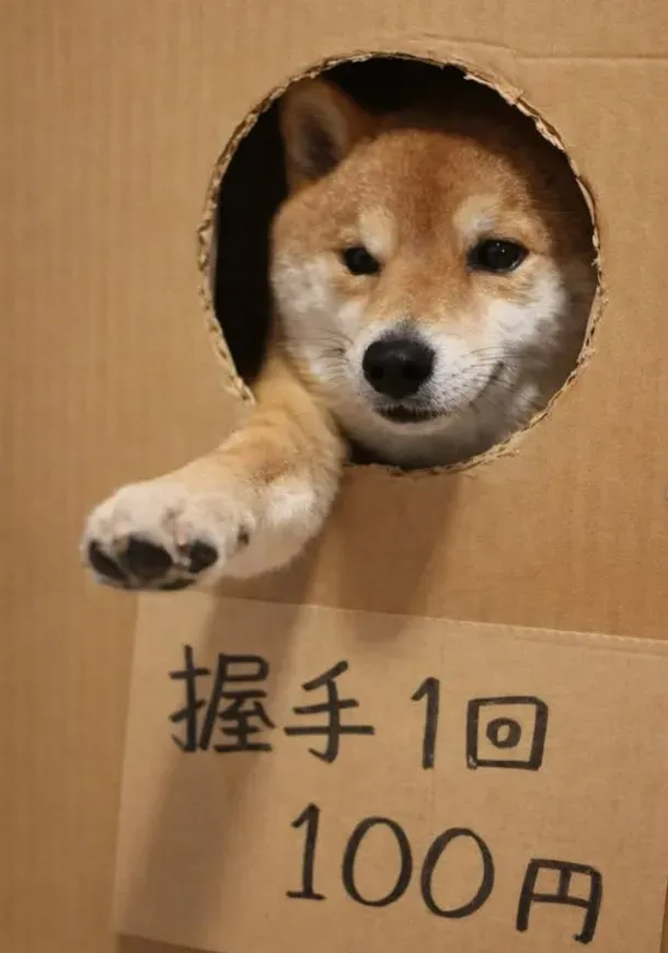 potat0619さんの投稿写真