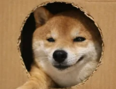 potat0619さんの投稿写真