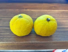 『ゆず2個』の写真（撮影：エニママ）