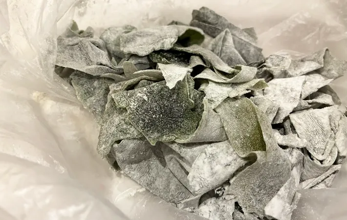 『わかめの天ぷら』を作る写真（撮影：エニママ）