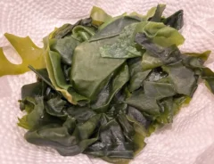 ワカメの天ぷらの写真（撮影：エニママ）