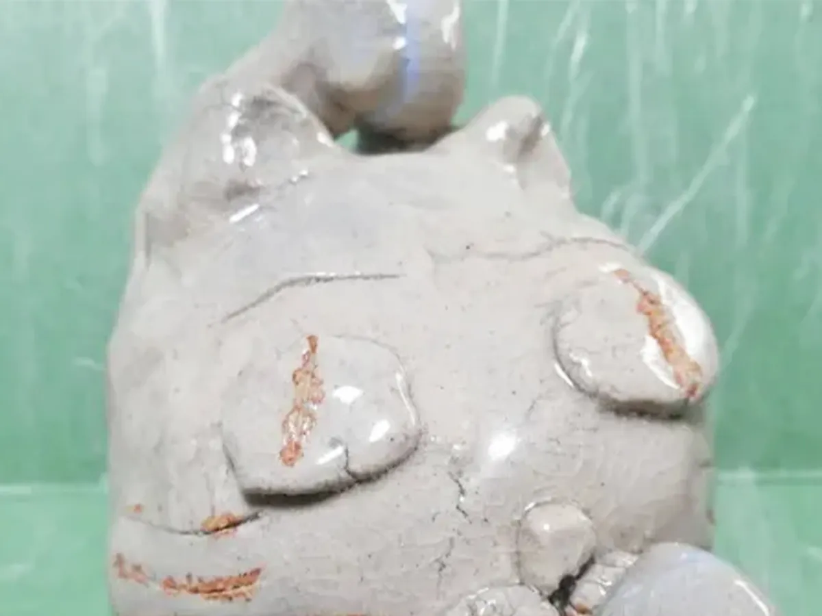 陶芸品の写真（撮影：エニママ）