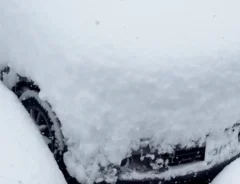 雪で隠れたナンバープレートの写真（撮影：grapeライフハック編集部）