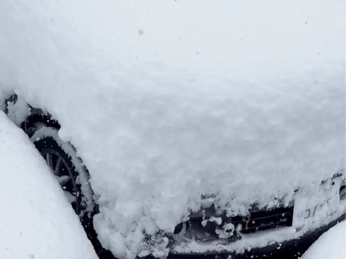 雪で隠れたナンバープレートの写真（撮影：grapeライフハック編集部）
