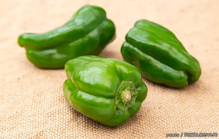 『ピーマン』の写真