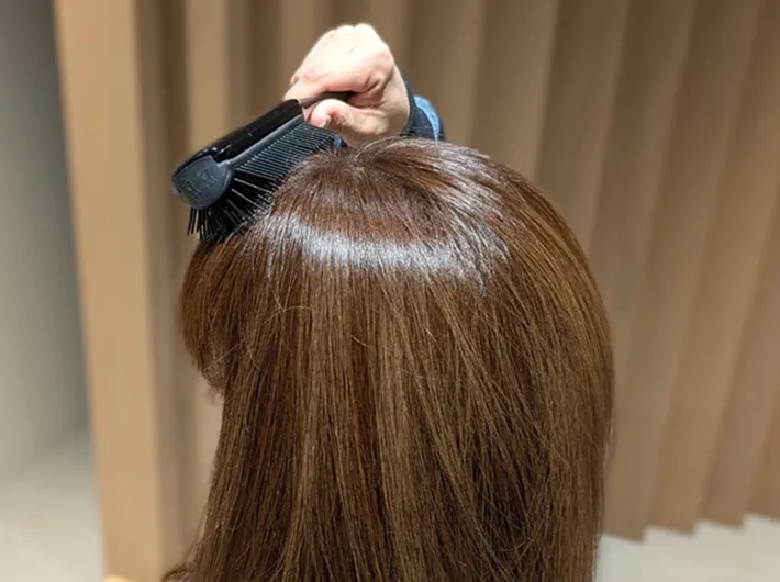 ブラッシングの手順の写真