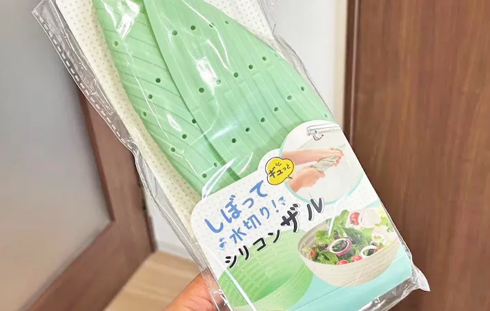 『シリコンザル』の写真（撮影：キジカク）