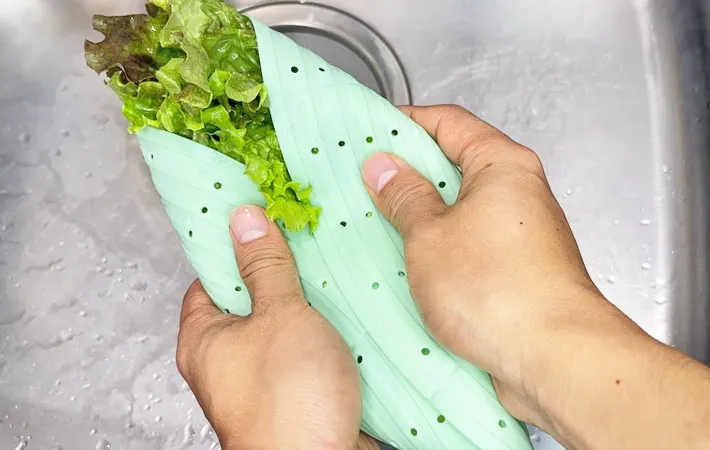 『シリコンザル』の使用写真（撮影：キジカク）