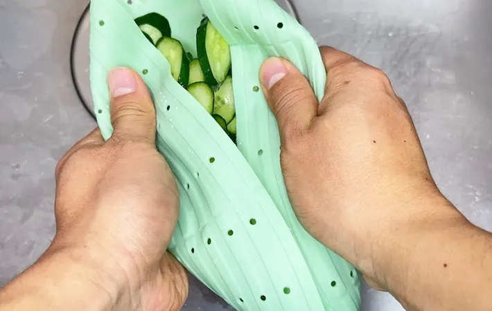 『シリコンザル』の使用写真（撮影：キジカク）