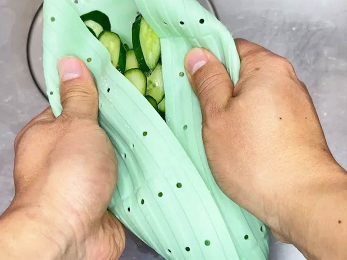 『シリコンザル』の使用写真(撮影:キジカク)